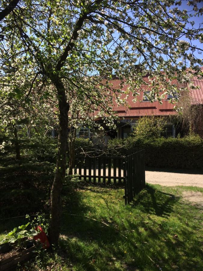 Bed and Breakfast Satnatorium Tuczno Esterno foto