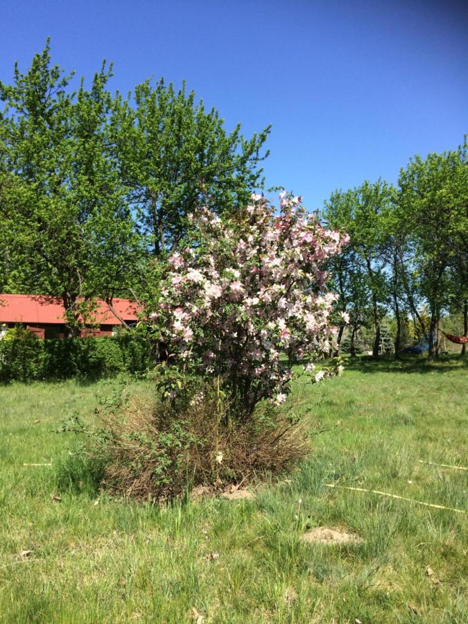 Bed and Breakfast Satnatorium Tuczno Esterno foto