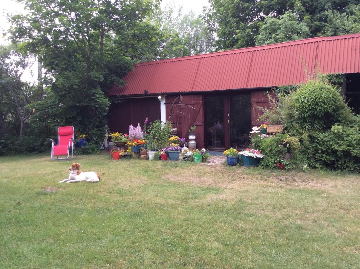 Bed and Breakfast Satnatorium Tuczno Esterno foto
